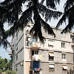 43 * Pula